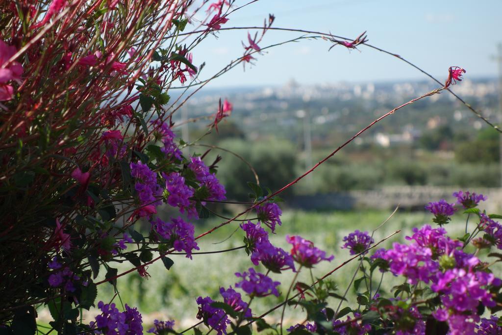 Masseria Serralta โลโกโรตอนโด ภายนอก รูปภาพ